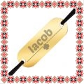 Martisor Bratara Inox Placuta Aurie Barbati Nume Iacob