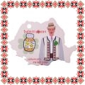 Martisor Brosa Farmacist Pastile Fericire