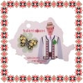 Martisor Brosa Fluture cu Flori Galbene