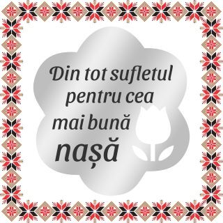 Martisor Brosa Inox Floare Argintie Dedicatie Nasa