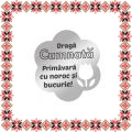 Martisor Brosa Inox Floare Argintie Urare Cumnata