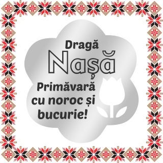 Martisor Brosa Inox Floare Argintie Urare Nasa