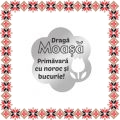 Martisor Brosa Inox Floare Argintie Urare Moasa