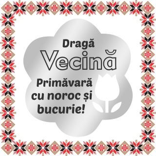 Martisor Brosa Inox Floare Argintie Urare Vecina