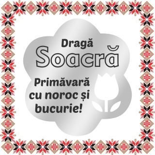 Martisor Brosa Inox Floare Argintie Urare Soacra