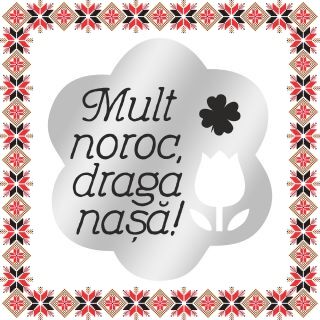 Martisor Brosa Inox Floare Argintie Mesaj Nasa