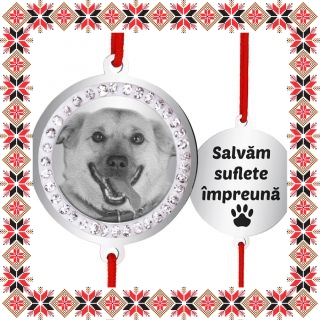 Bratara Inox Banut Pietre Costi Salvam Suflete Kola Kariola