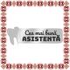 Martisor Brosa Ecuson Inox Argintiu Stomatolog Dedicatie Asistenta