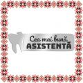 Martisor Brosa Ecuson Inox Argintiu Stomatolog Dedicatie Asistenta