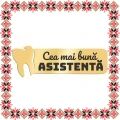 Martisor Brosa Ecuson Inox Placat Aur 18K Stomatolog Dedicatie Asistenta