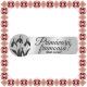 Martisor Brosa Ecuson Inox Argintiu Zoom Primavara Frumoasa