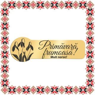 Martisor Brosa Ecuson Inox Placat Aur 18K Zoom Primavara Frumoasa