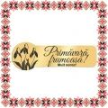 Martisor Brosa Ecuson Inox Placat Aur 18K Zoom Primavara Frumoasa