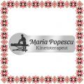 Martisor Personalizat Brosa Ecuson Inox Argintiu Kinetoterapeut Nume