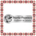 Martisor Personalizat Brosa Ecuson Inox Argintiu Profesor de istorie Nume