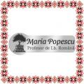 Martisor Personalizat Brosa Ecuson Inox Argintiu Profesor Limba Romana Nume