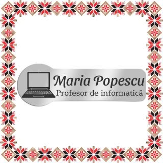 Martisor Personalizat Brosa Ecuson Inox Argintiu Profesor Informatica Nume