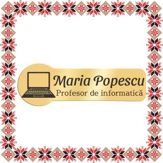 Martisor Personalizat Brosa Ecuson Inox Placat Aur 18K Profesor Informatica Nume
