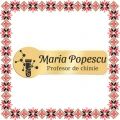 Martisor Personalizat Brosa Ecuson Inox Placat Aur 18K Profesor Chimie Nume
