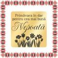 Martisor Brosa Inox Placat Aur 18K Romb Primavara In Dar Nepoata