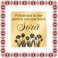 Martisor Brosa Inox Placat Aur 18K Romb Primavara In Dar Sora