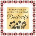 Martisor Brosa Inox Placat Aur 18K Romb Primavara In Dar Doctorita