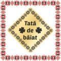 Martisor Brosa Inox Placat Aur 18K Romb Barbati Tata de Baiat