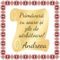 Martisor Personalizat Brosa Inox Placat Aur 18K Scrisoare Urare Nume