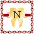 Martisor Bratara Inox Placat Aur 18K Dintisor Stomatolog Initiala N
