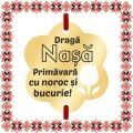 Martisor Bratara Inox Placat Aur 18K Floare Lalea Draga Nasa