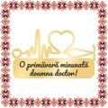 Martisor Brosa Inox Stetoscop Urare Doctor