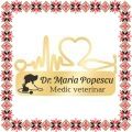 Martisor Personalizat Brosa Inox Stetoscop Doctor Veterinar