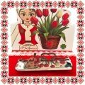 Martisor Brosa Ecuson Medical Inox Argintiu Stetoscop Cea mai buna Asistenta