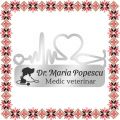 Martisor Personalizat Brosa Ecuson Medical Inox Argintiu Stetoscop Doctor Veterinar