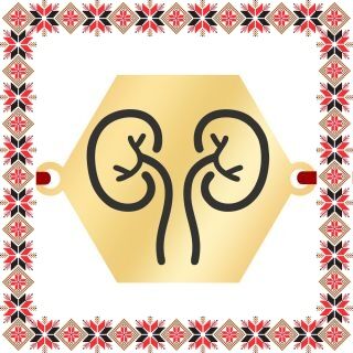 Martisor Bratara Inox Placat Aur 18K Hexagon Medic Nefrolog