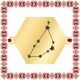 Martisor Bratara Inox Placat Aur 18K Hexagon Constelatie Zodia Capricorn