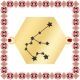 Martisor Bratara Inox Placat Aur 18K Hexagon Constelatie Zodia Varsator