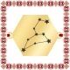 Martisor Bratara Inox Placat Aur 18K Hexagon Constelatie Zodia Leu