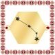 Martisor Bratara Inox Placat Aur 18K Hexagon Constelatie Zodia Berbec