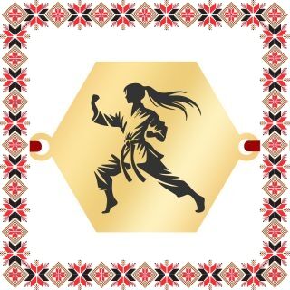 Martisor Bratara Inox Placat Aur 18K Hexagon Karate