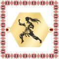 Martisor Bratara Inox Placat Aur 18K Hexagon Karate