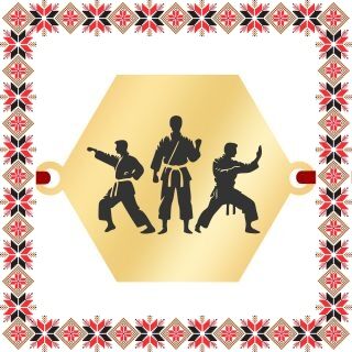 Martisor Bratara Inox Placat Aur 18K Hexagon Arte Martiale