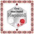 Martisor Bratara Inox Argintiu Hexagon Trandafiri Dedicatie Nepoata