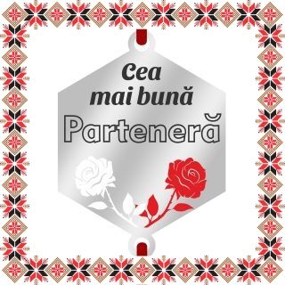 Martisor Bratara Inox Argintiu Hexagon Trandafiri Dedicatie Partenera