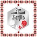 Martisor Bratara Inox Argintiu Hexagon Trandafiri Dedicatie Sotie