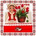 Martisor Bratara Inox Argintiu Hexagon Trandafiri Draga Vecina