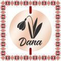 Martisor Bratara Inox Banut Rose Gold Nume Dana