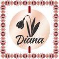 Martisor Bratara Inox Banut Rose Gold Nume Diana