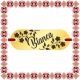 Martisor Bratara Inox Placuta Aurie Nume Bianca