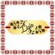 Martisor Bratara Inox Placuta Aurie Nume Ligia